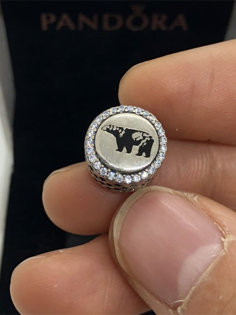 ✨🔥Pandora Canada Banff Bear Exclusive Charm